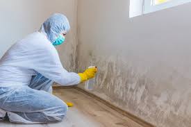 Why You Should Choose Our Mold Remediation Services in Lake Barcroft, VA