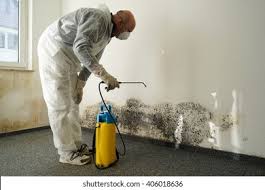 Lake Barcroft, VA Mold Removal Company